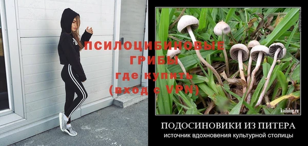 мескалин Алексин