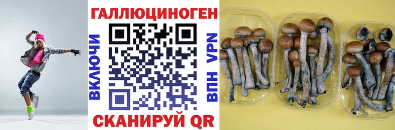 Галлюциногенные грибы MAGIC MUSHROOMS закладка Цивильск