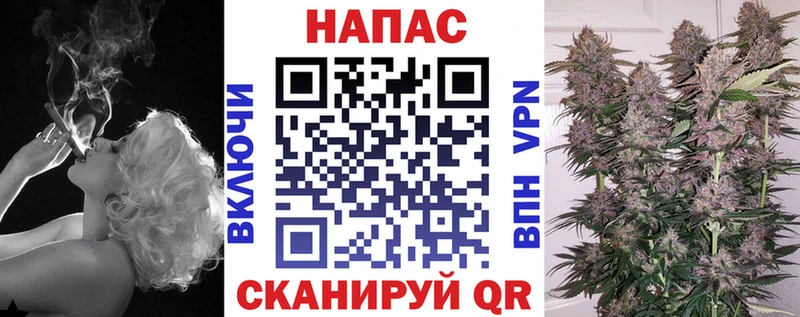 Канабис OG Kush дарнет шоп Цивильск